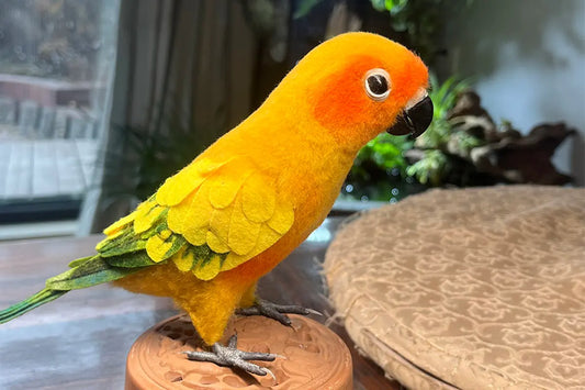 How to Memorialize a Bird After They Pass Away