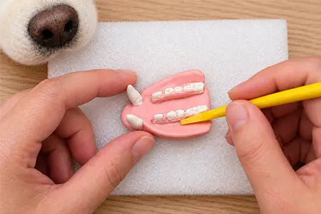 Create the Mouth