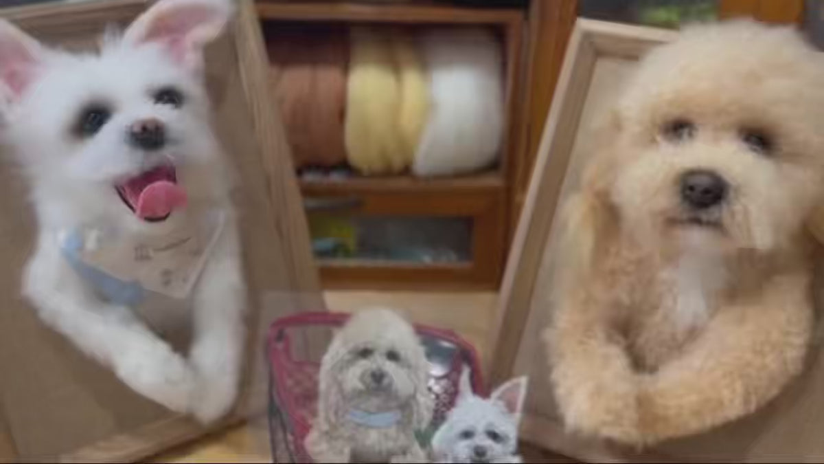 Load video: Artisan handcrafting a realistic 3D needle felted dog sculpture inside a brown wooden frame with wool and felting needle, custom pet memory keepsake.