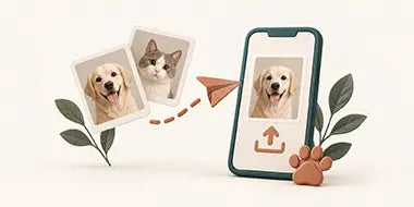Choose Style & Send Photos
